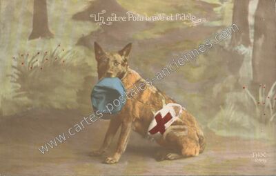 Carte postale ancienne Un autre Poilu brave et Fidèle — Poilu Fidele — Militaire